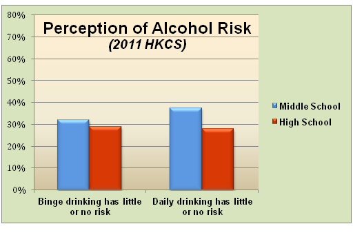 Risk Perceptions HSMS