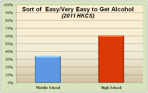 Social Access HSMS